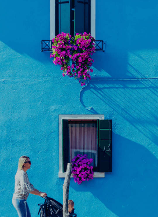 Excursiones por la ciudad